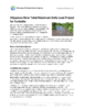 1419-Thumbnail Image.png