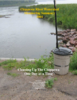1446-Thumbnail Image.png