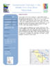 1526-Thumbnail Image.png