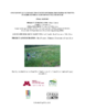 2473-Thumbnail Image.png