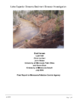 3390-Thumbnail Image.png