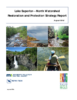 3395-Thumbnail Image.png