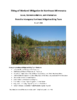 488-Thumbnail Image.png