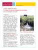 531-Thumbnail Image.png