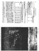 4211-Thumbnail Image.png