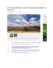 4233-Thumbnail Image.png