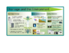4236-Thumbnail Image.png