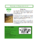 4247-Thumbnail Image.png