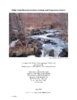 4287-Thumbnail Image.png