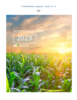 4342-Thumbnail Image.png